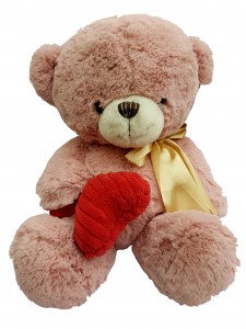Taddy Bear 22