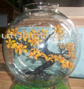 Aquarium0009