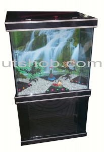 Aquarium00012