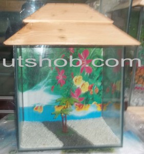 Aquarium00013