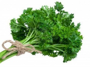 Coriandrum Sativum (Dhonne pata)
