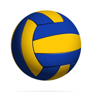 Volley Ball