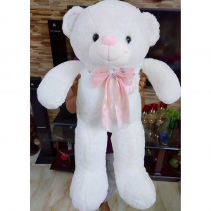 Soft  Teddy