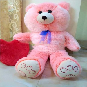 Soft Fluffy Teddy (Copy)