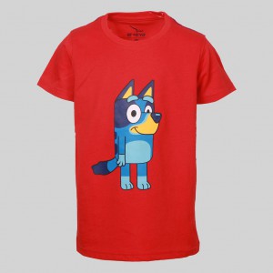 Short Sleeve Round Neck