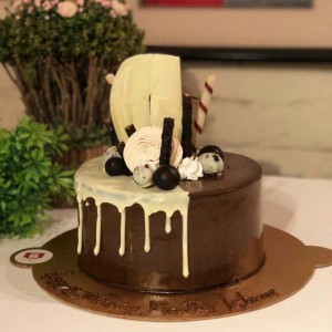 The Chocolate Island