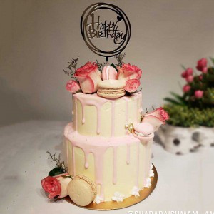 Princess Wears Pink Cake