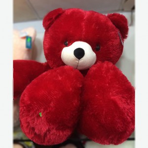 Teddy (Medium)