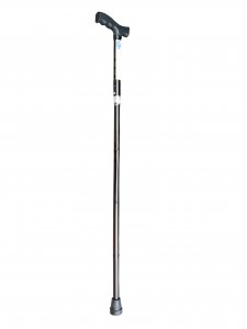 Walking Stick 001