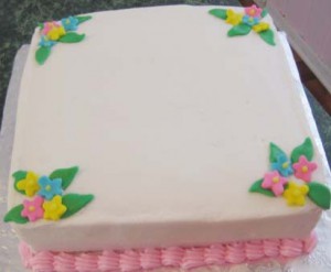 Normal Cake 20