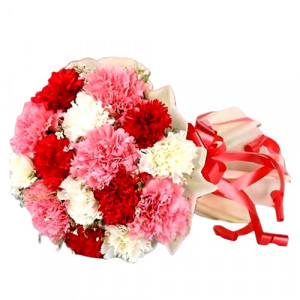 small-mixed-carnation-bouquet