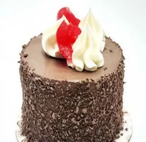 Black Forest Slice