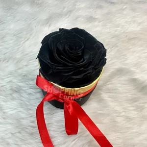 Real Eternal Preserved Black Rose Flower In Black Round Small Gift Box