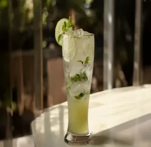 Virgin Mojito
