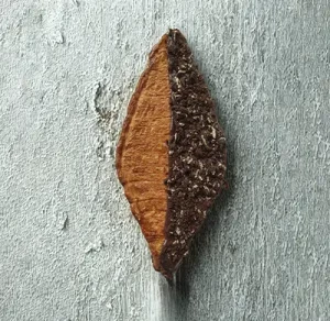 Flat Nutella Croissant
