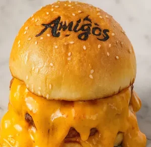 chicken-burger-34