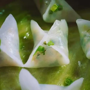 Vegetable Dumpling