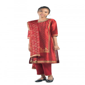 Dupion Silk Printed & Embroidered Salwar Kameez Set for Girls
