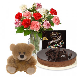 carnations-with-chocolate-cheesecake-lindt-dark-chocolate-box-6-inch-teddy