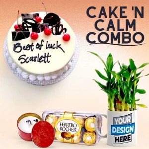 the-ultimate-gift-set-ferrero-candle-truffle-cake-bamboo-plant