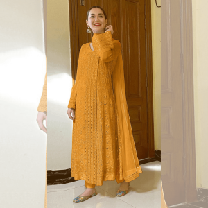 Georgette Heavy Embroidered Dress