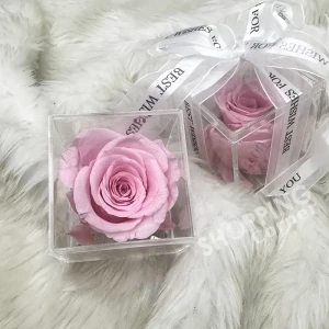 Pink Color (Pro) Real Rose Preserved Flower