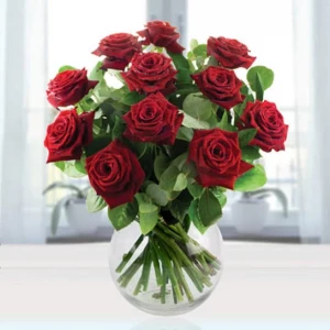 twelve-red-roses-1