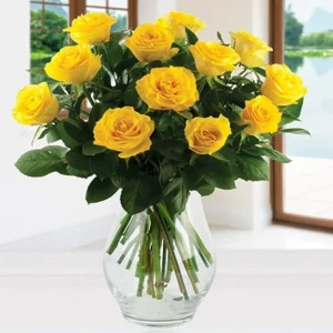 twelve-yellow-roses