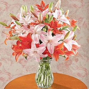 assorted-lilies-in-a-vase