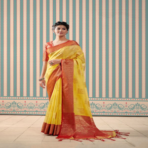 Soft Krystal Linen Silk With Contrast Border Saree
