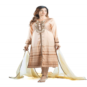 Tan Colour Silk Printed & Karchupi Ornamented Salwar Kameez Set