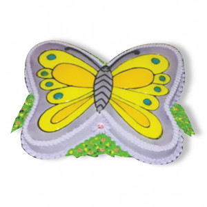 BUTTERFLIES- TREND 24
