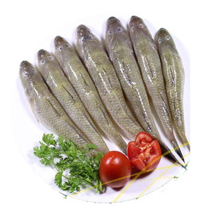 Bele Fish