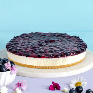 eggless-blueberry-cheesecake-1
