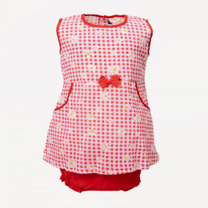 Pink & Red Cotton A-line Frock