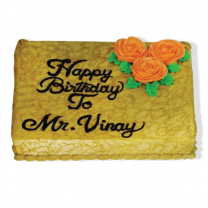 VINAY- BASIC 52