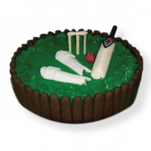 CRICKET- BASIC 31