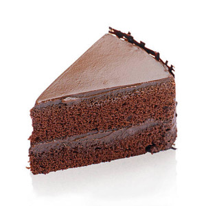 Chocolate Cake Slice