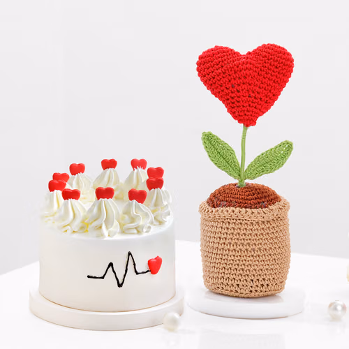 delightful-crochet-heart-and-cake-gift-combo