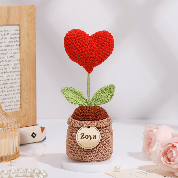personalized-red-crochet-heart-in-pot