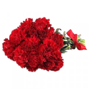 small-size-red-carnation-bouquet