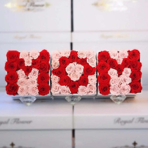 Mother's Day Exclusive Combo 20