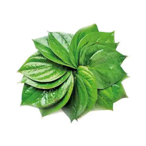 Paan (Betel Leaf) Half Bira