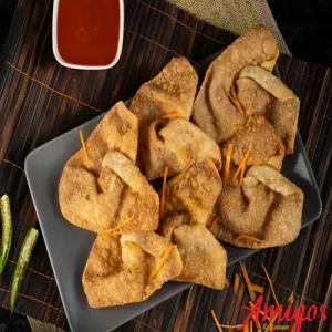 wonton-7