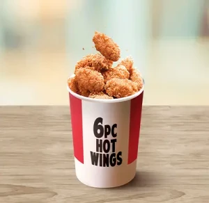 6-pcs-hot-wings